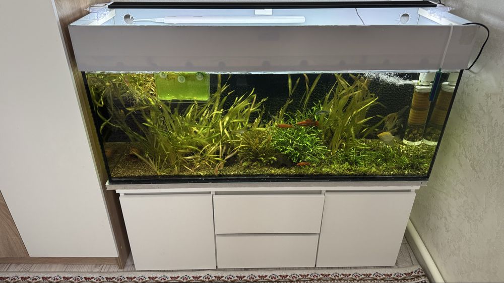 Аквариум 270 литр