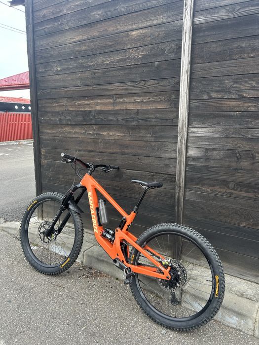 Santa cruz bronson