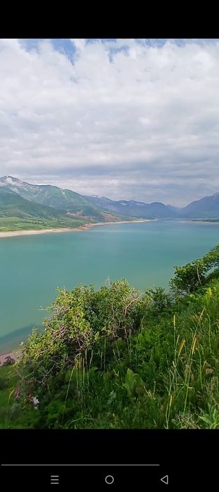 4 сотихдан 40 сотигача ерлар бор нархи устида гаплашилади  холис хизма