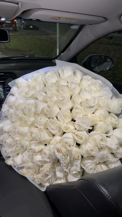 101, 51, 25 роз по скидке