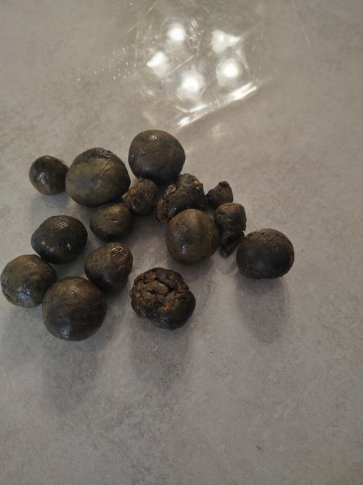 Прополис свежий 2025