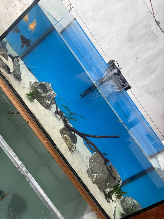 Acvariu foarte mare de 200l