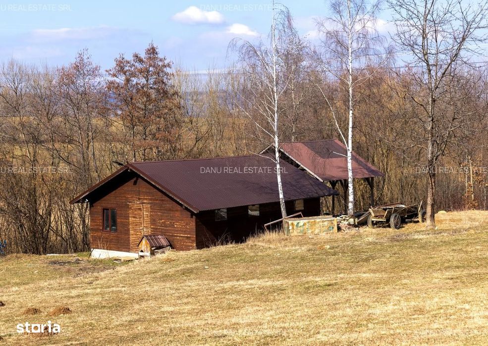 Bran Sohodol,5967mp+teren bonus,intravilan constructii P+E+M,comision0