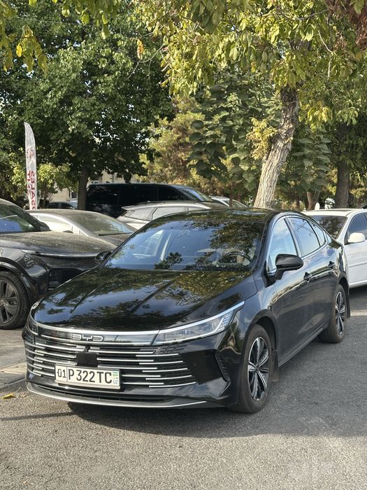 BYD Chazor 120 km Flagship