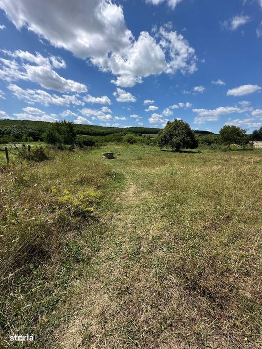Teren Intravilan 35 Ari Nires