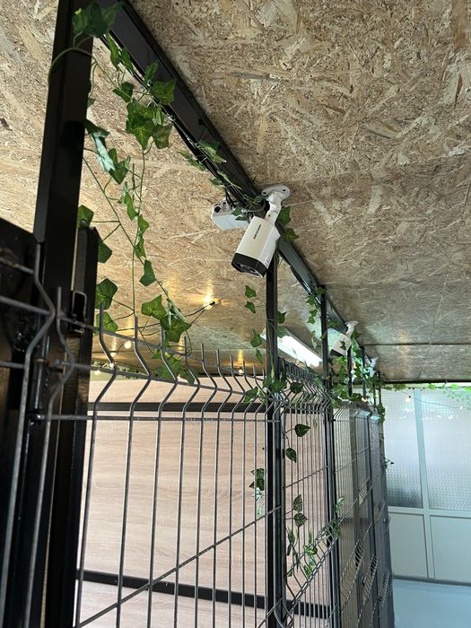 Cazare caini Cluj DogStar, pensiune caini, dresaj caini, toaletaj