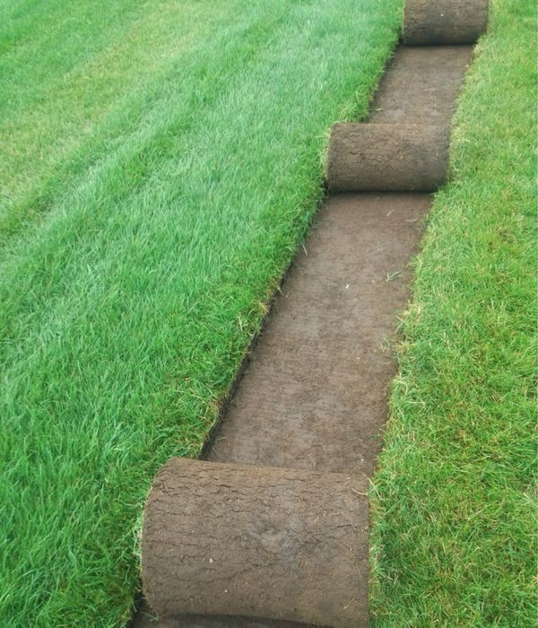 Servici complete de Amenajari gradini si Sisteme de irigatii