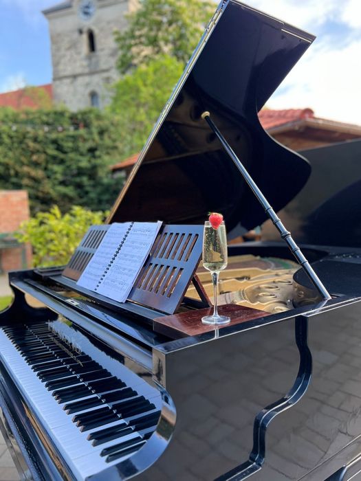 Unicat ! Piano Prosecco Bar de vanzare