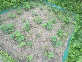 Дача 131, гор водоканал