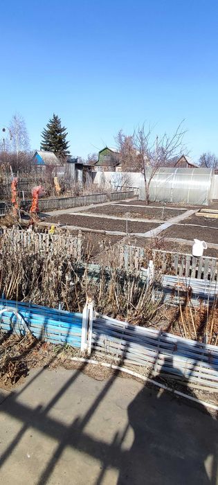 Дача СО Элеваторщик