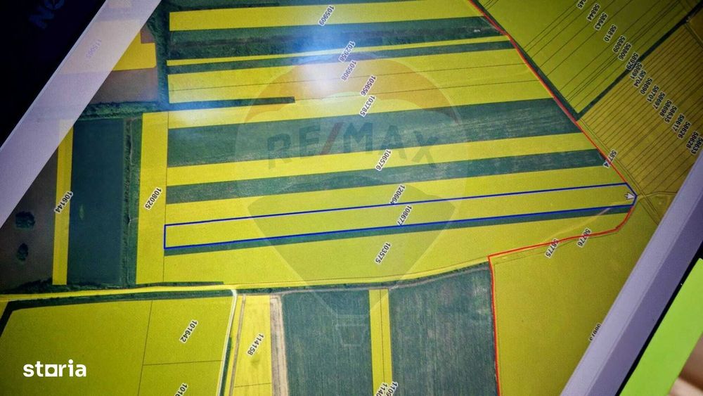 Teren extravilan 33.750 mp I Corbeanca