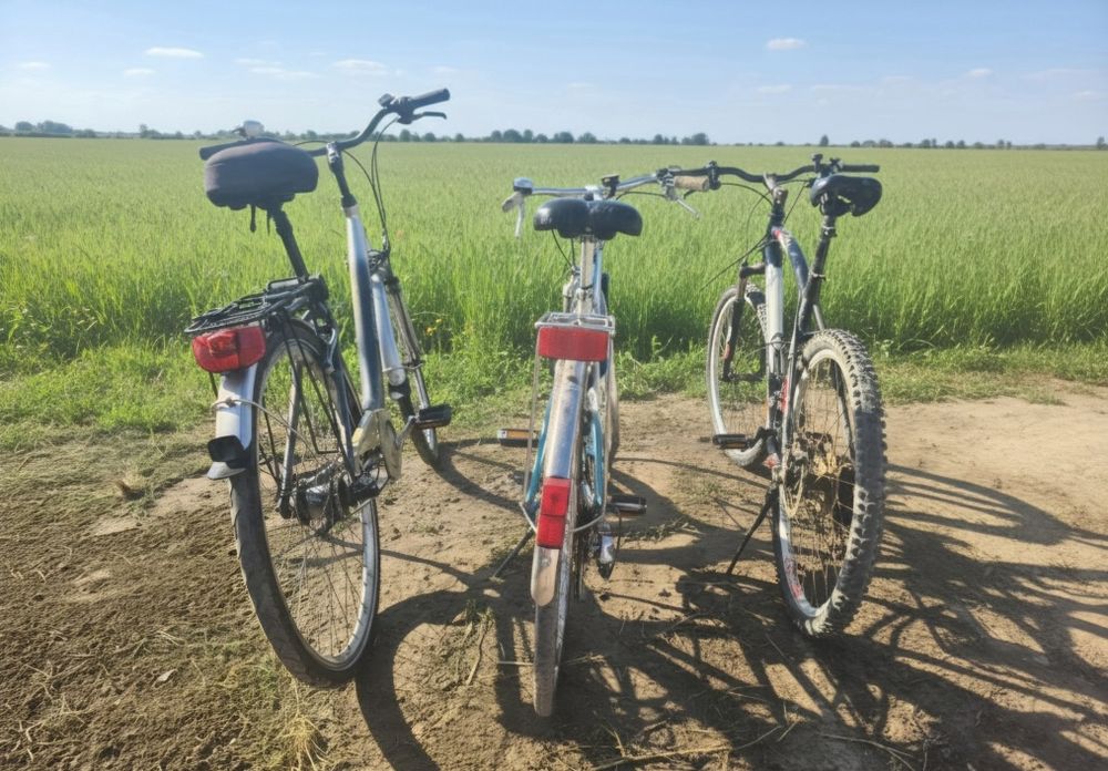 Biciclete de vanzare in stare buna.
