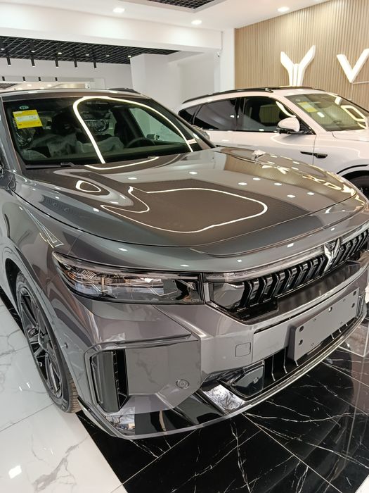 Voyah free 318 opollo tech hybrid