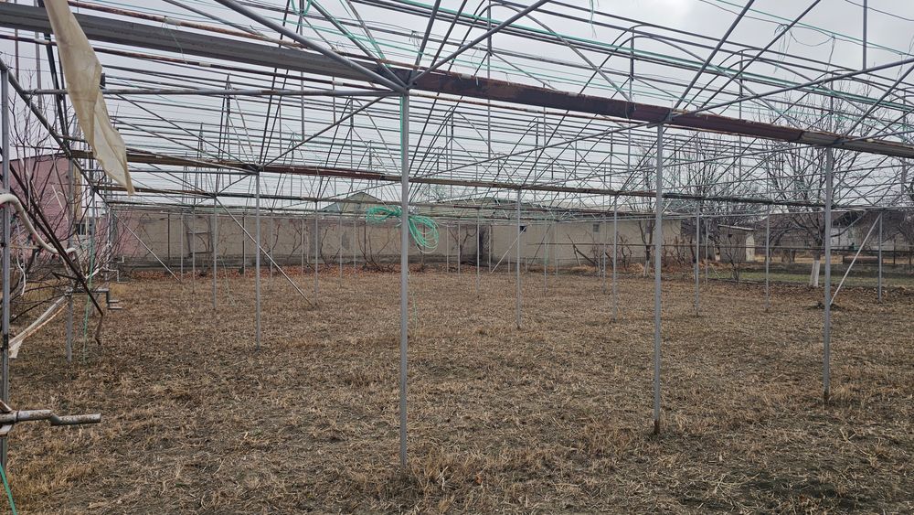 Issiqxona sotiladi 6sotix