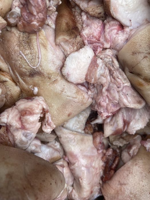 Корм для собак мясо для собак