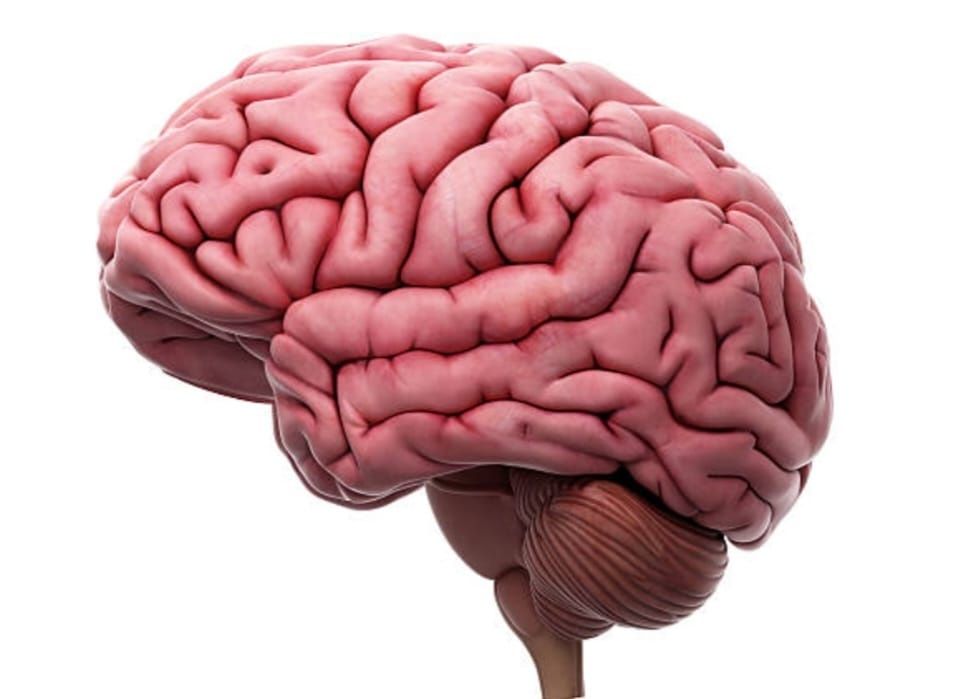 Meditații pentru examenul de bacalaureat biologie și admitere!!!