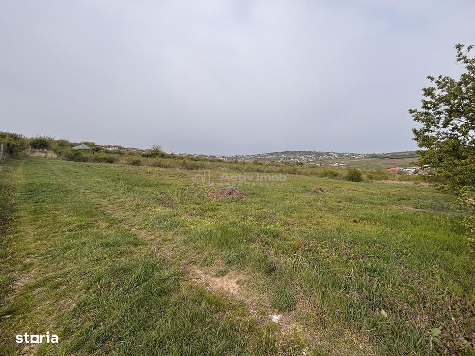 Teren pe colt in Paleu – 800 mp ideali pentru casa ta intr-o zona lini