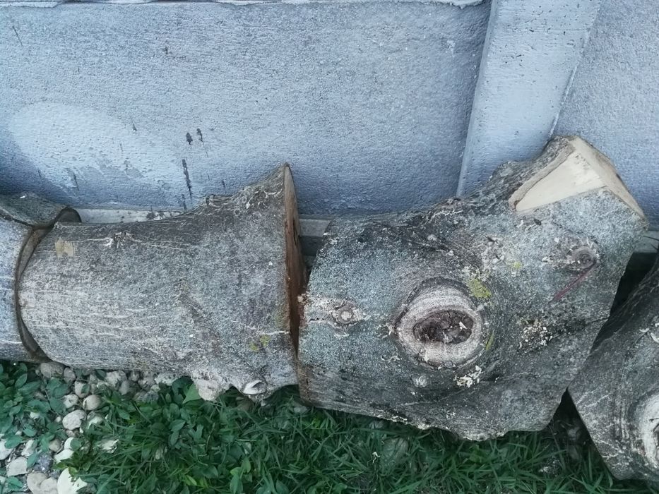 Buturugi, butuci, lemn nuc