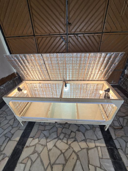 Bruder брудер жужа учун