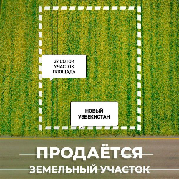 Новый Узбекистан Земля Продаётся. 37 Соток!