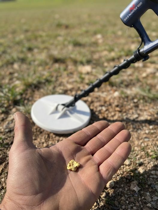 металлоискатель Gold Monster 1000