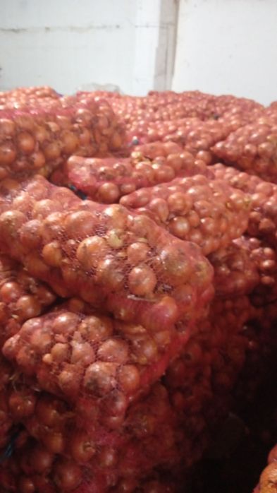 Ceapă calitate 1 -1.4lei  kg morcov 1.5 lei kg