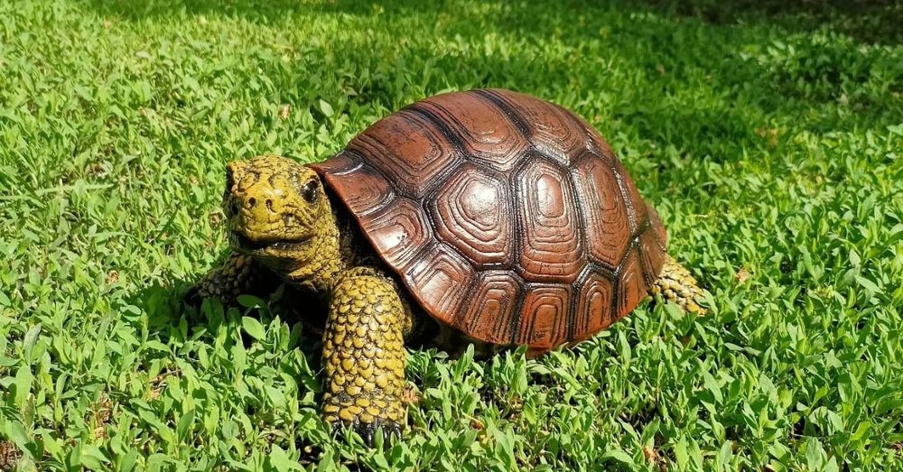 Черепаха садовая фигура