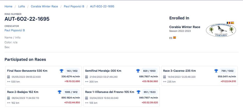 Porumbei voiajori de vânzare (zburați în competiții și columbodroame)