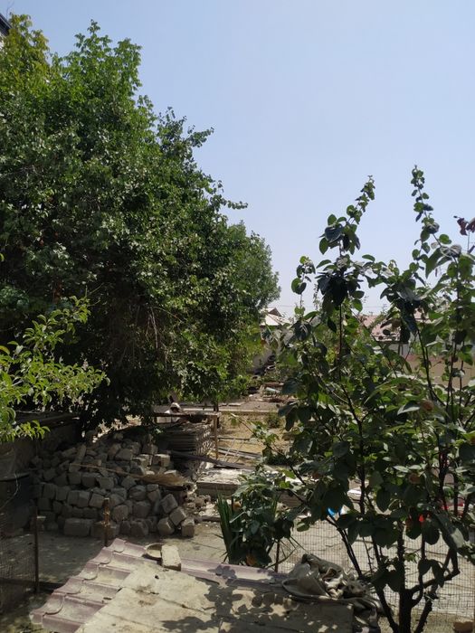 Assalomu aleykum ucastka sotiladi