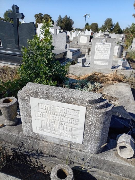 Vand 2 locuri de odihna in cikitirul Pomenirea Arad