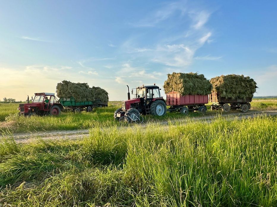 Vând baloți fan dreptunghiulari