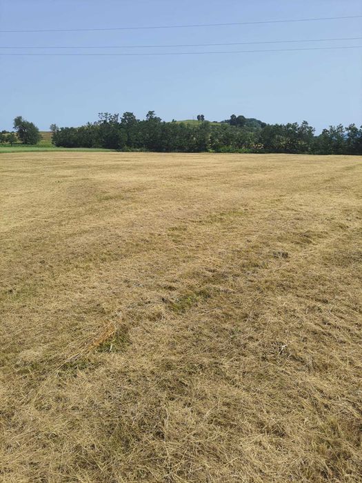 Teren intra si extravilan in Vad, Copalnic-Mănăștur, Maramures