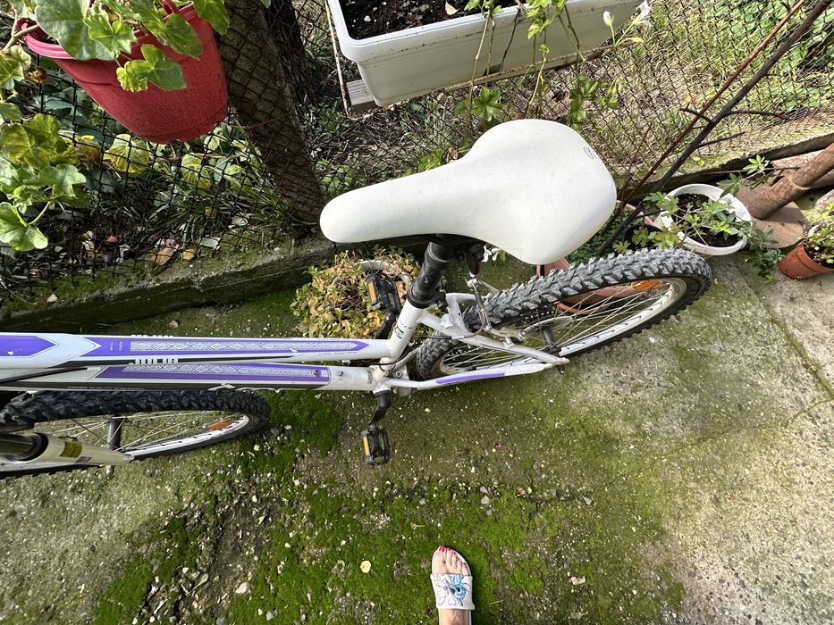 Дамско колело Cross 26 инча