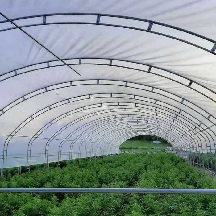 Koreya issiqxonalari va issiqxona uchun materiallar