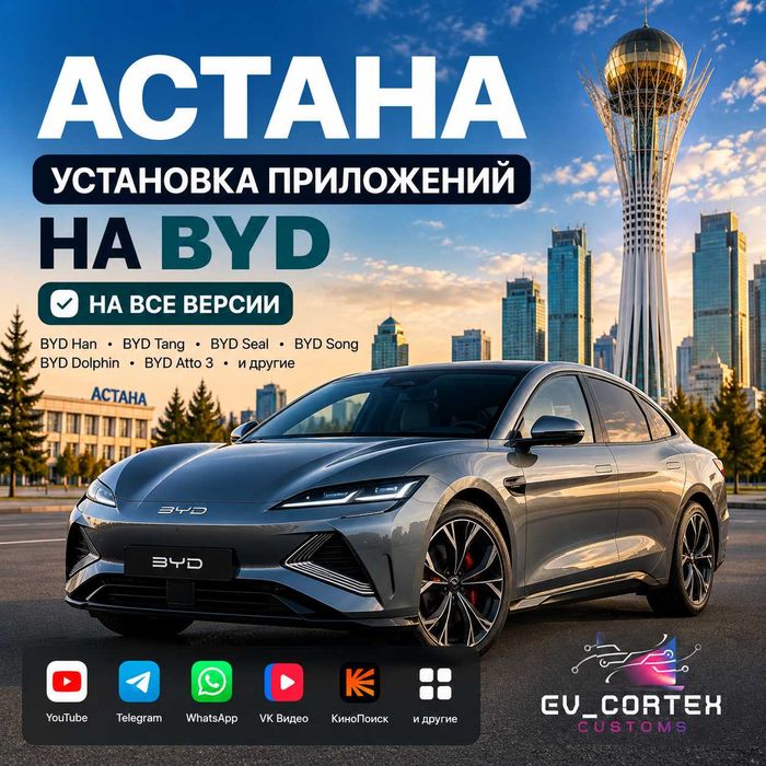 BYD все услуги по мультимедиа