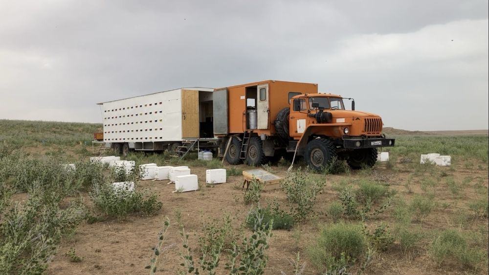 Пасека ( пчелопавильон )