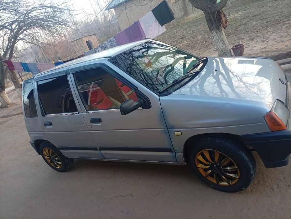 Tiko navarot udaridan arzonga