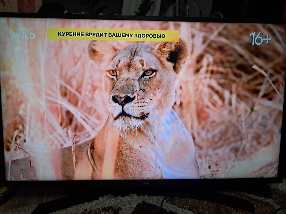 Продам два телевизора LG