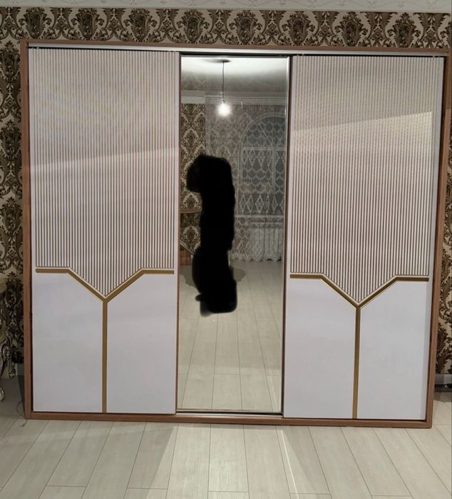 Шкаф купе 243×222×60 см,