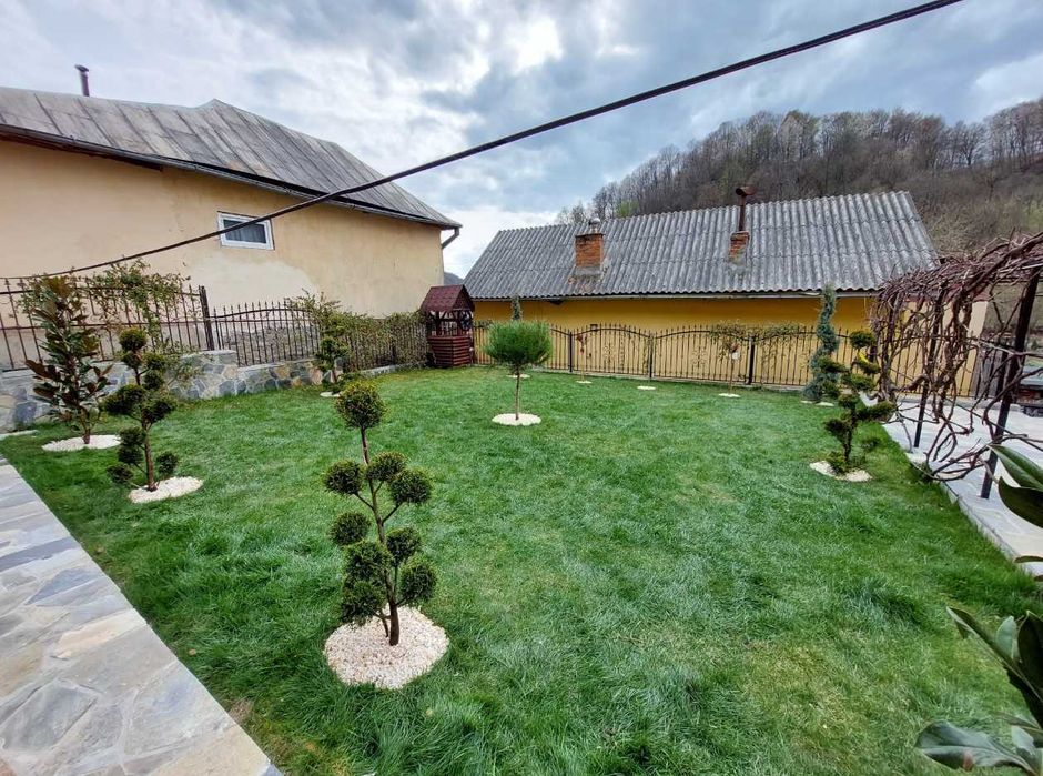 Soluții Verzi pentru Grădină – Gazon de Elită și Montaj Rapid