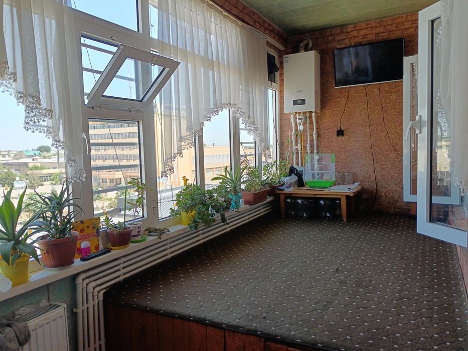 Kunlik ijara, сутични квартира
