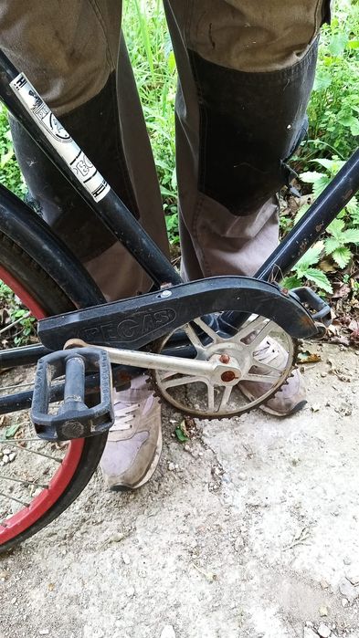Bicicleta retro Pegas