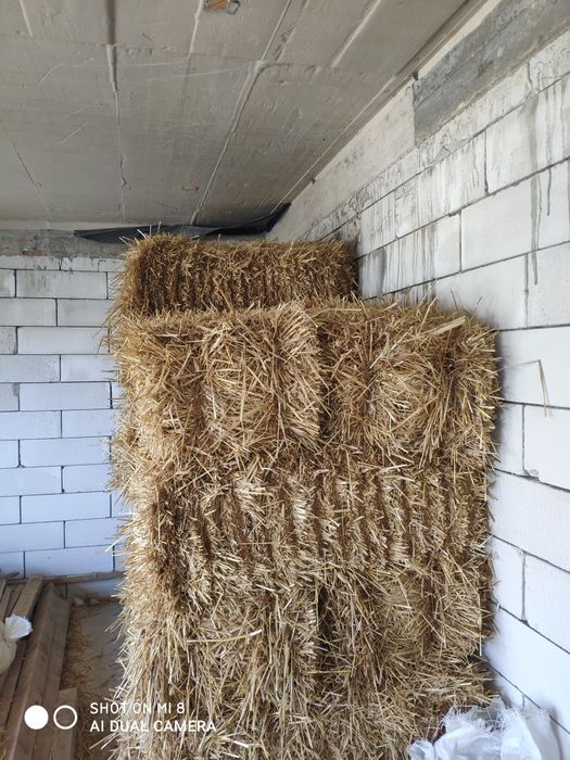 Decor , animale diverse evenimente baloți mici paie corbu constanta tr