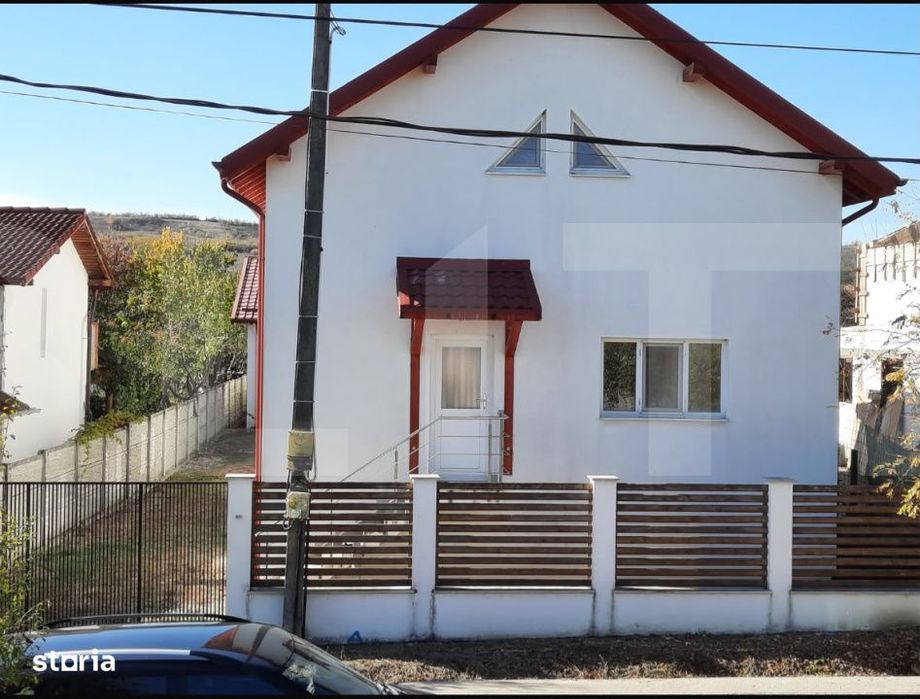 Casa+Spatiu Pentru Afacere/Locuit Iancu Jianu