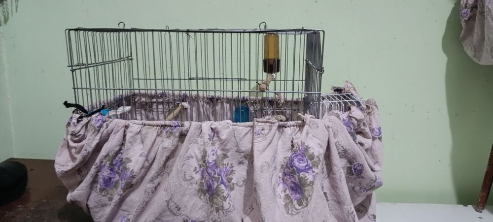 Клетка сотилади закони 2 та