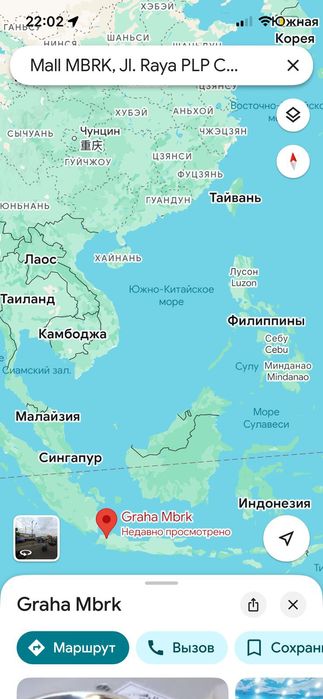 Дрозд Шама шама.