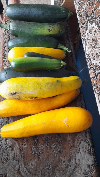 Продам кабачки домашние