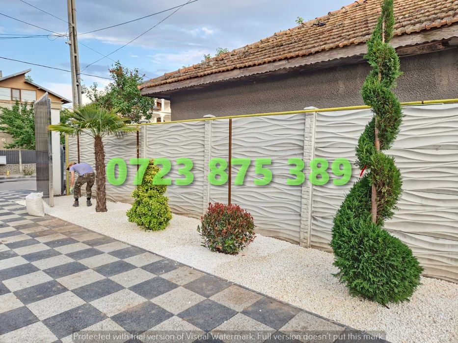 Selecție de Plante de Pepinieră – Vigorozitate și Sănătate Garantată