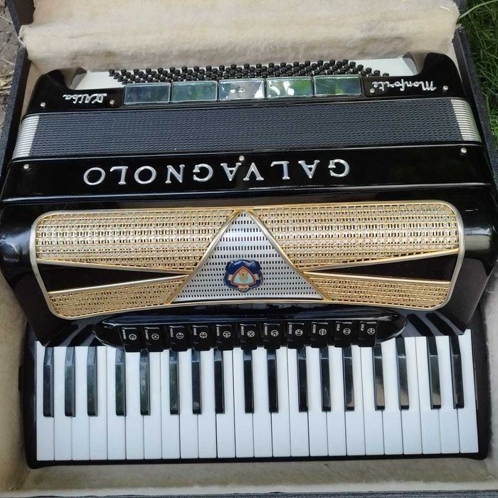 Vīnd acordeon Calvagnolo profesional cassoto 2+2 cu reg la barbă.