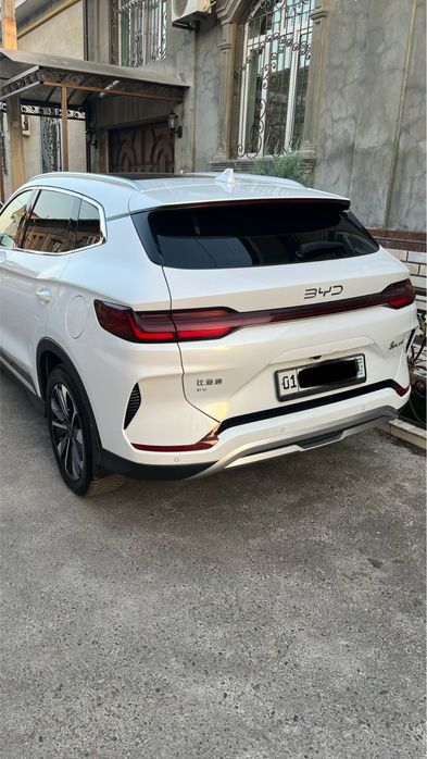 Byd champion 605